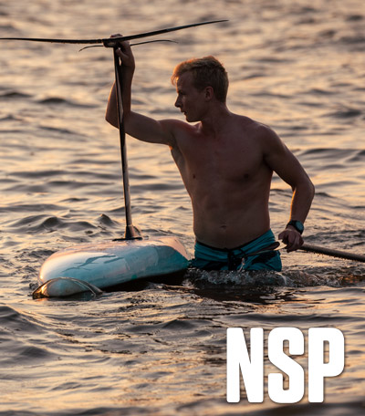 Thumb_400x456-NSP-foil