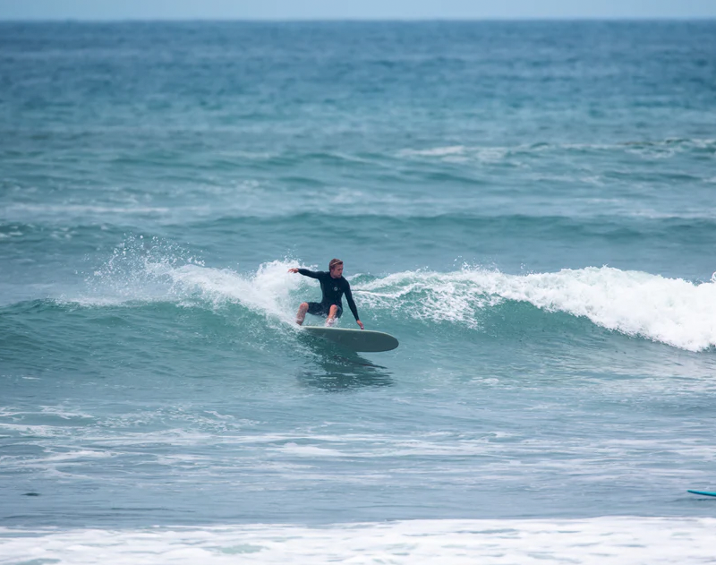 SURFTECH WAYNE RICH THE PRO MOD 2