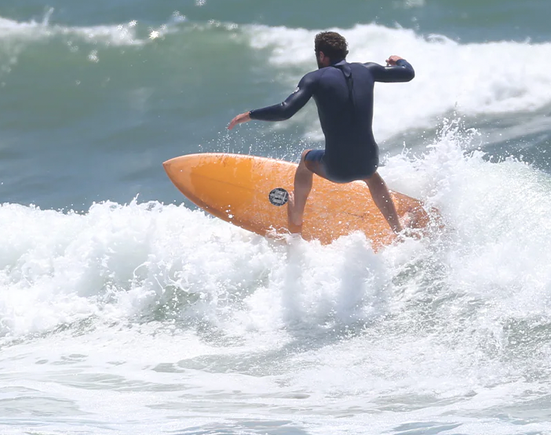 SURFTECH ROGER HINDS DREAM FISH