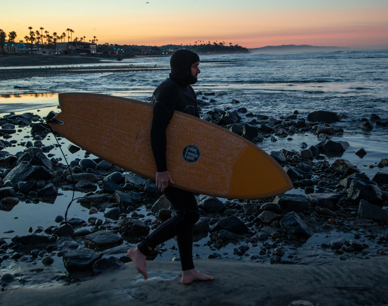 SURFTECH ROGER HINDS DREAM FISH